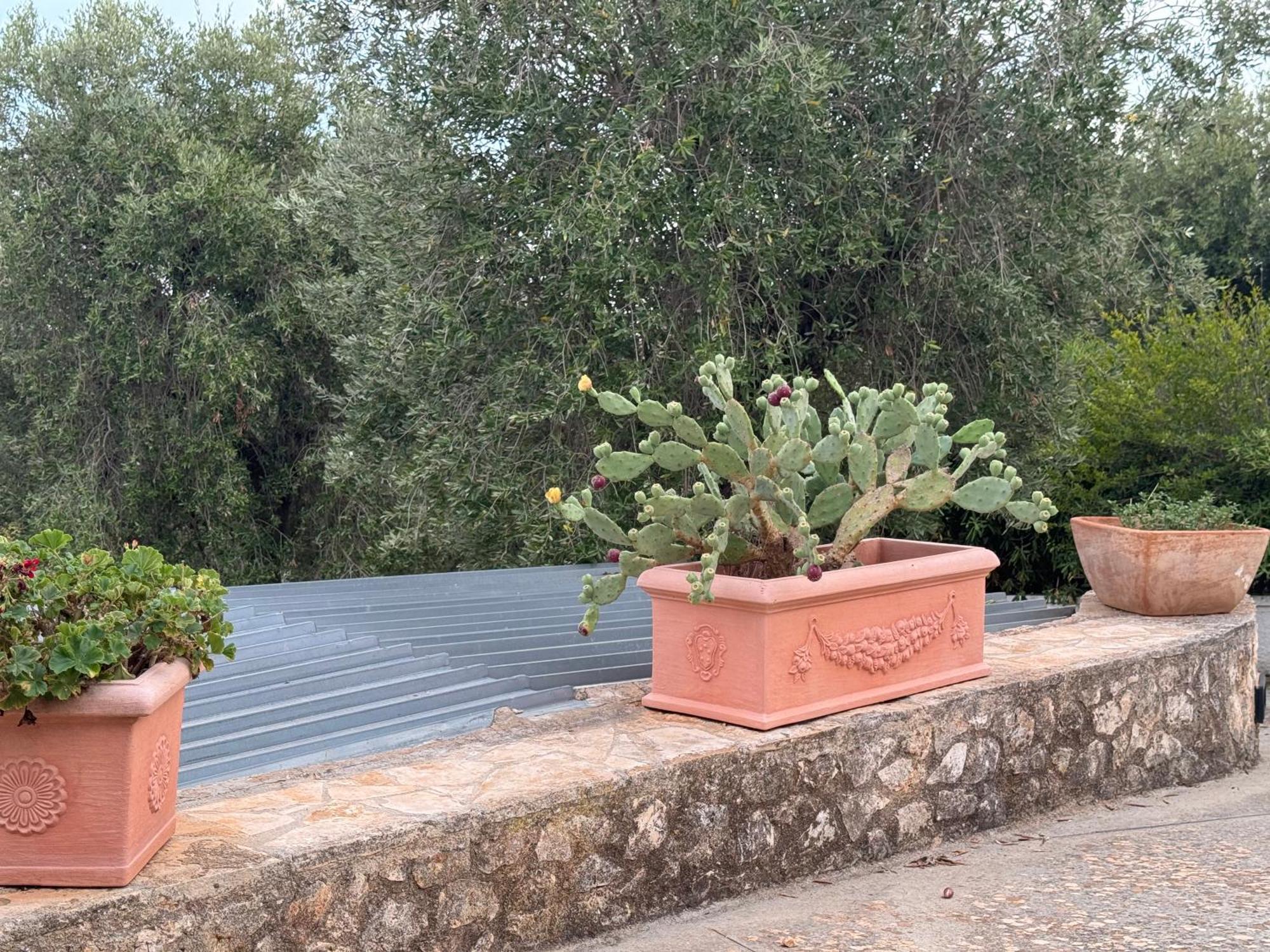 Home A&G Contrada Fumarola Ostuni Eksteriør billede